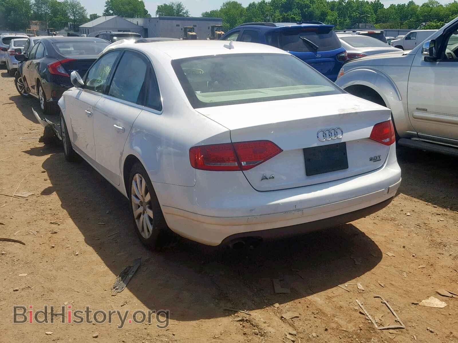 2010 AUDI A4 - VIN: WAUFFAFL2AN011499 - Фото 3