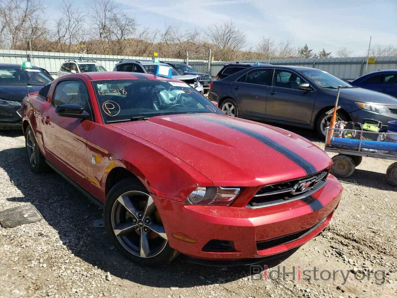 Photo 1ZVBP8AN0A5121318 - FORD MUSTANG 2010