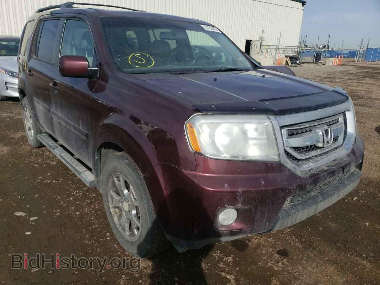 Photo 5FNYF4H67AB501603 - HONDA PILOT 2010