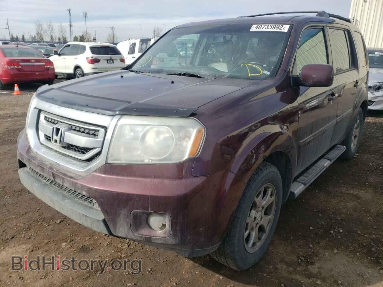 2010 HONDA PILOT - VIN: 5FNYF4H67AB501603 - Фото 2
