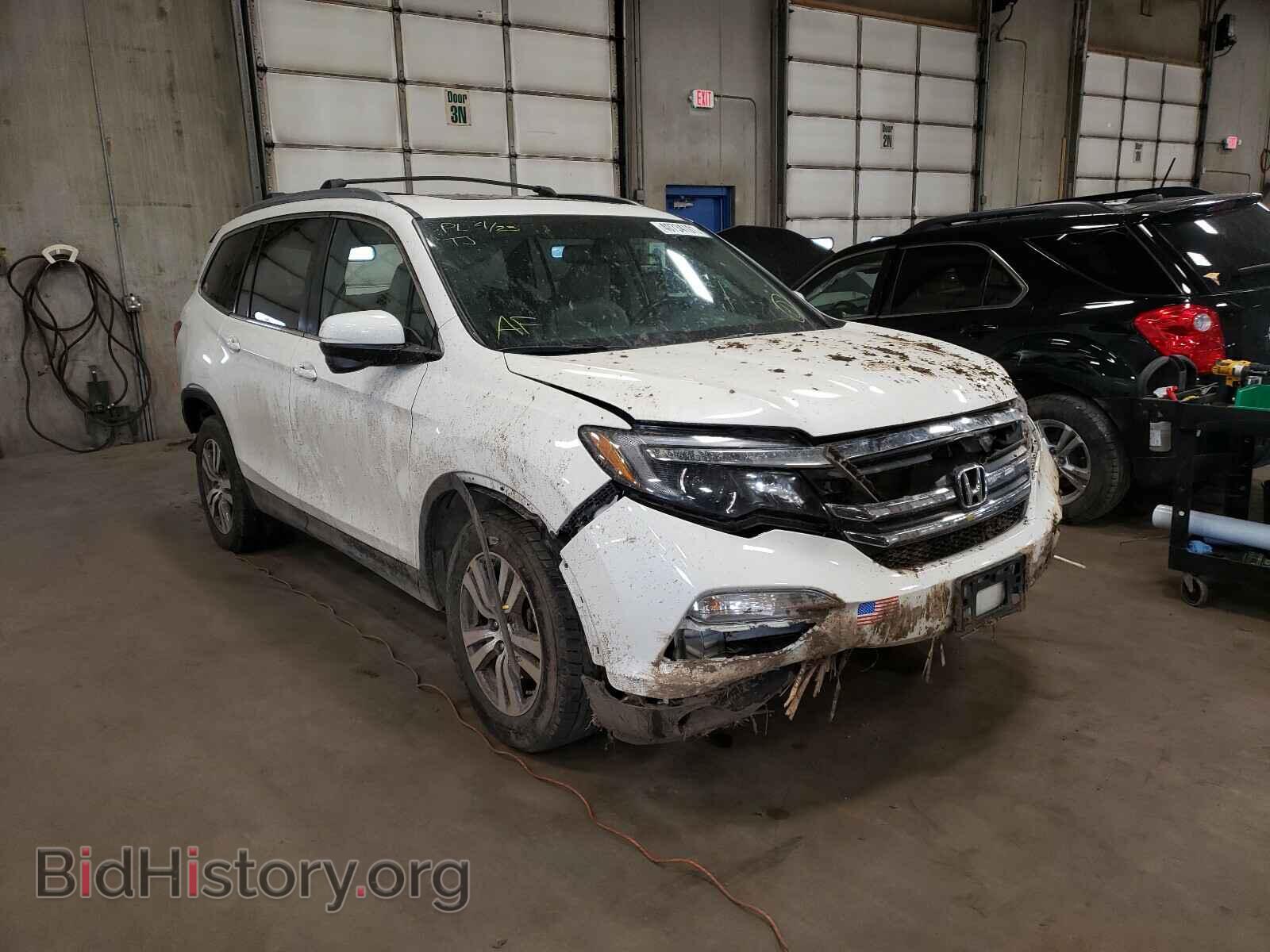 Photo 5FNYF6H55HB004420 - HONDA PILOT 2017