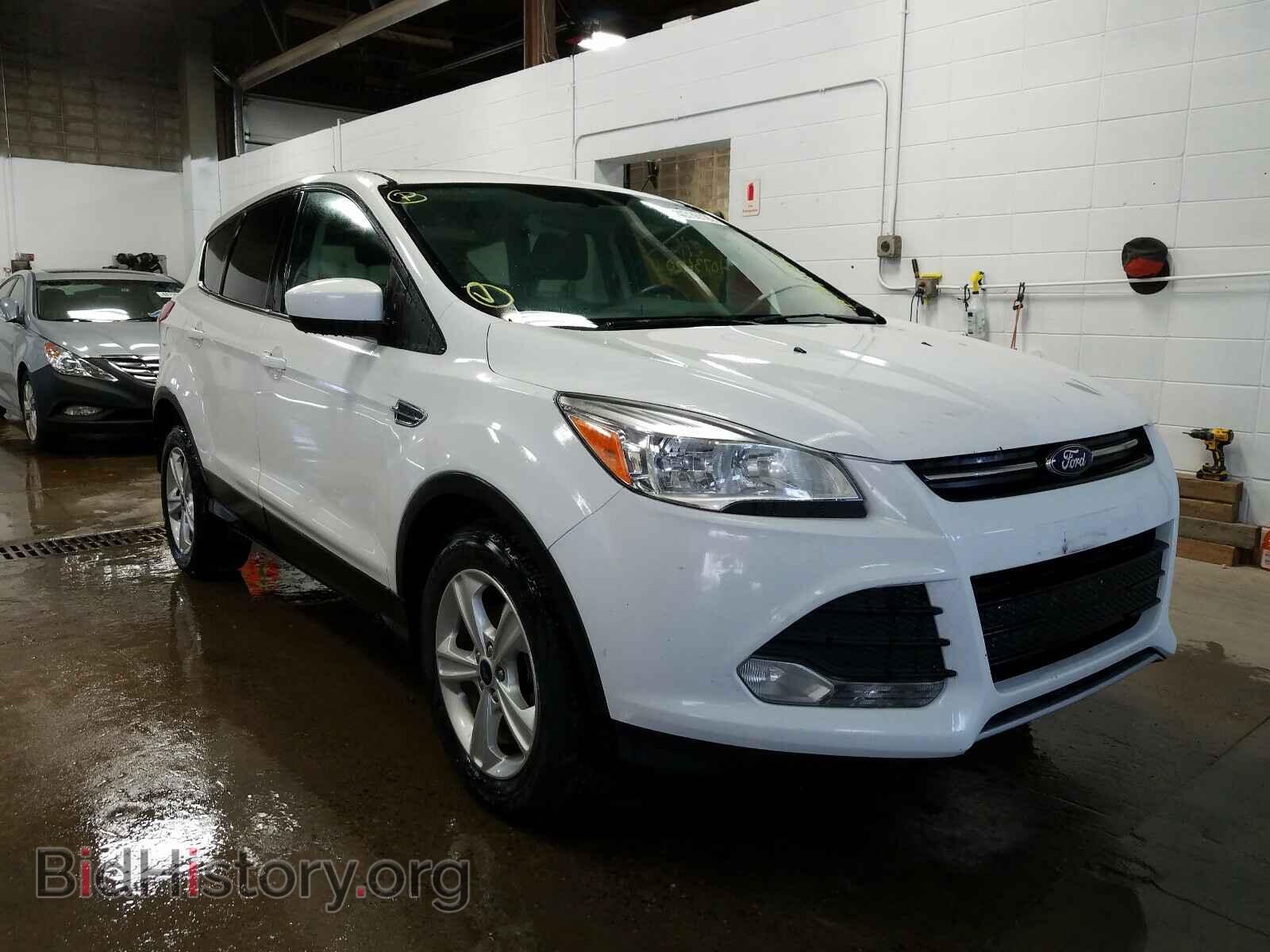 Фотография 1FMCU0GX7DUD57187 - FORD ESCAPE 2013
