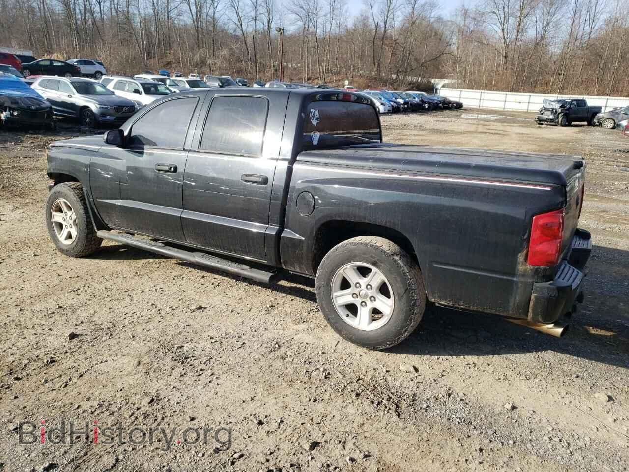 2011 DODGE DAKOTA - VIN: 1D7RW3GP6BS596366 - Фото 2