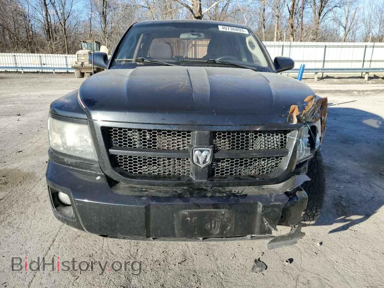 2011 DODGE DAKOTA - VIN: 1D7RW3GP6BS596366 - Фото 5