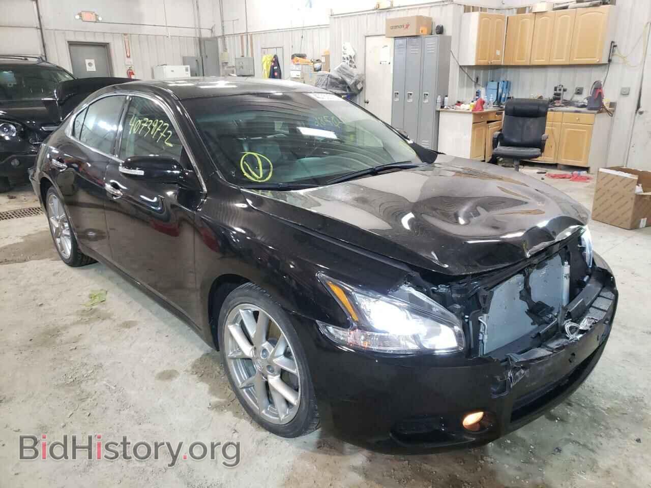 Photo 1N4AA5AP1BC808259 - NISSAN MAXIMA 2011