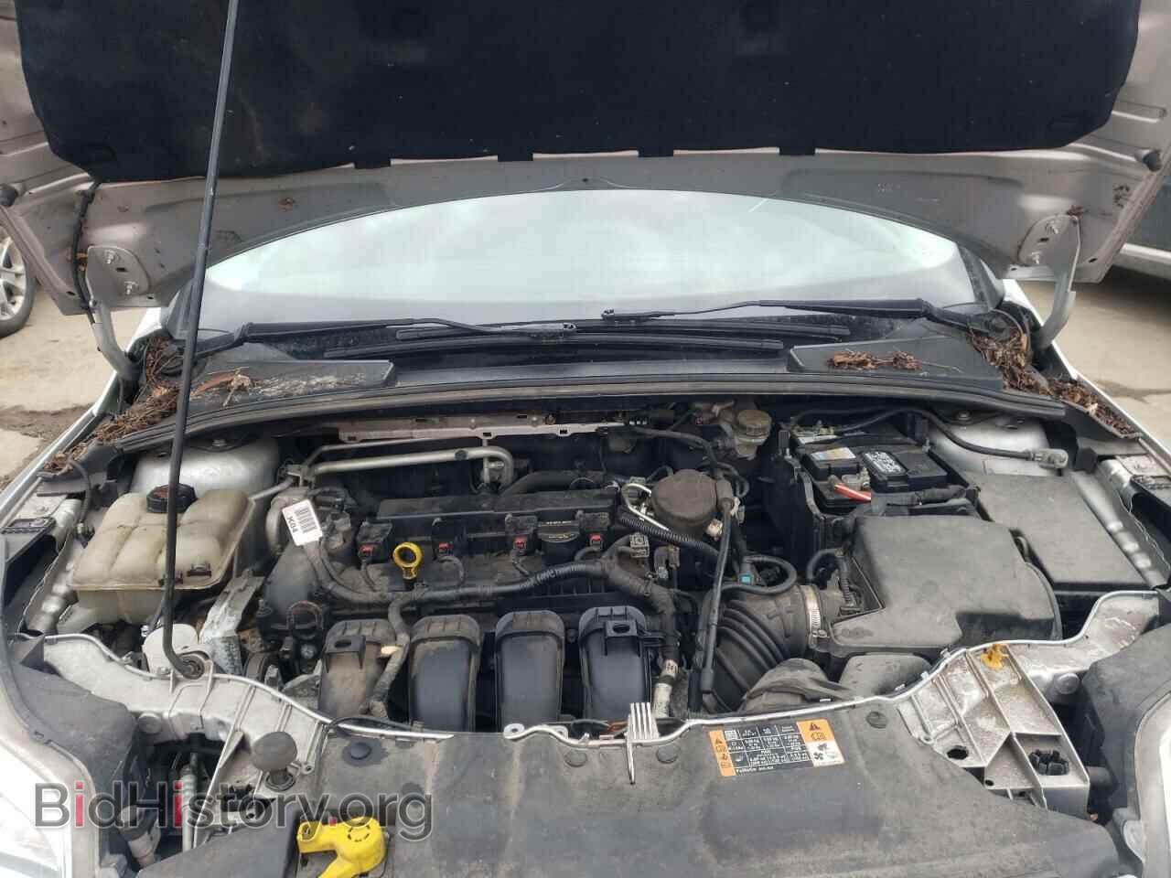 2014 FORD FOCUS - VIN: 1FADP3F20EL318011 - Фото 7