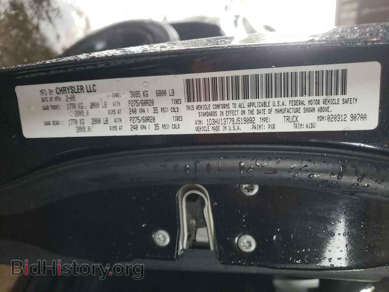 2009 DODGE RAM 1500 - VIN: 1D3HV13T79J519092 - Фото 10