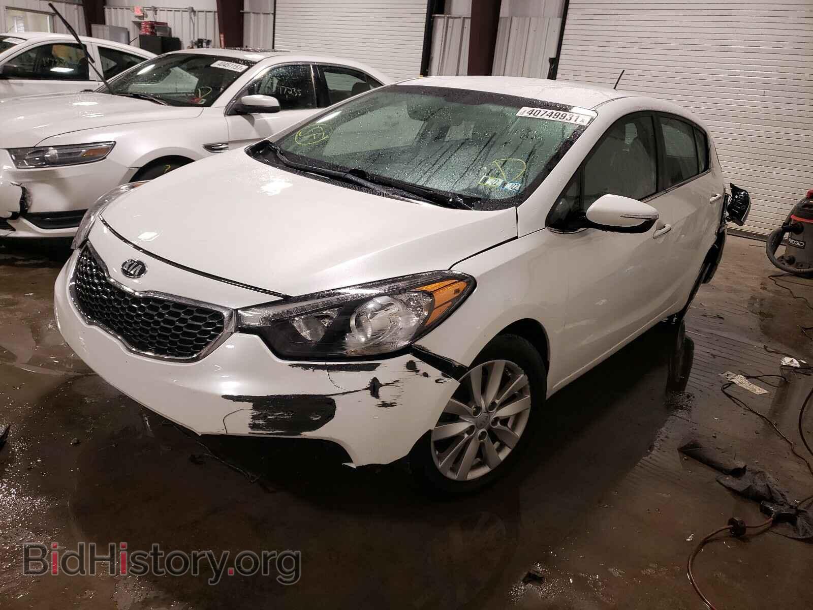 2014 KIA FORTE - VIN: KNAFX5A85E5206249 - Фото 2