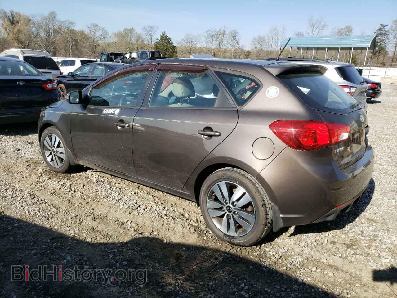 2013 KIA FORTE - VIN: KNAFU5A22D5694059 - Фото 2