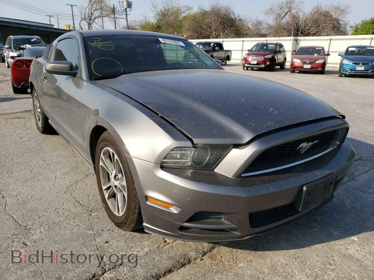 Фотография 1ZVBP8AM4D5243787 - FORD MUSTANG 2013