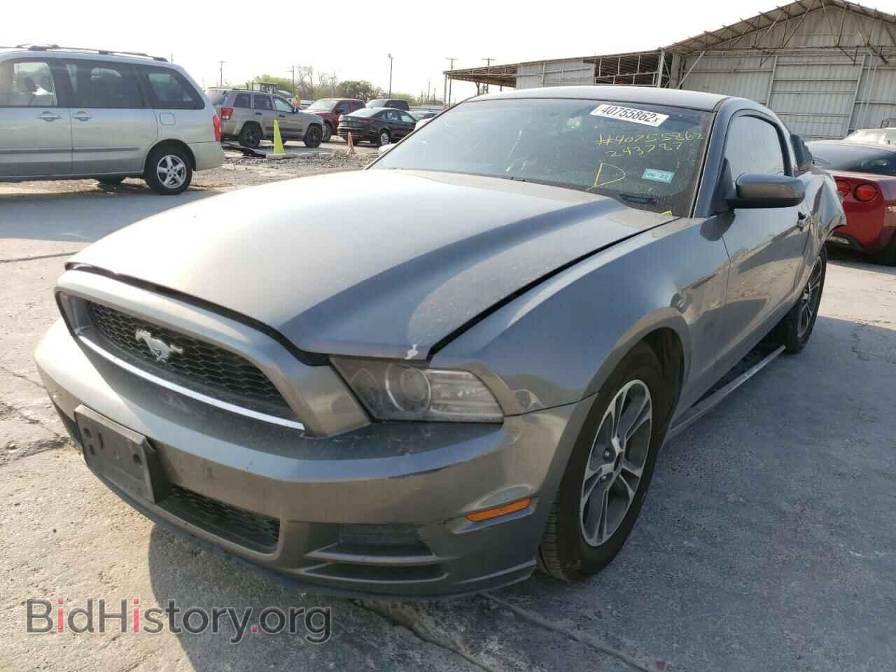 2013 FORD MUSTANG - VIN: 1ZVBP8AM4D5243787 - Photo 2