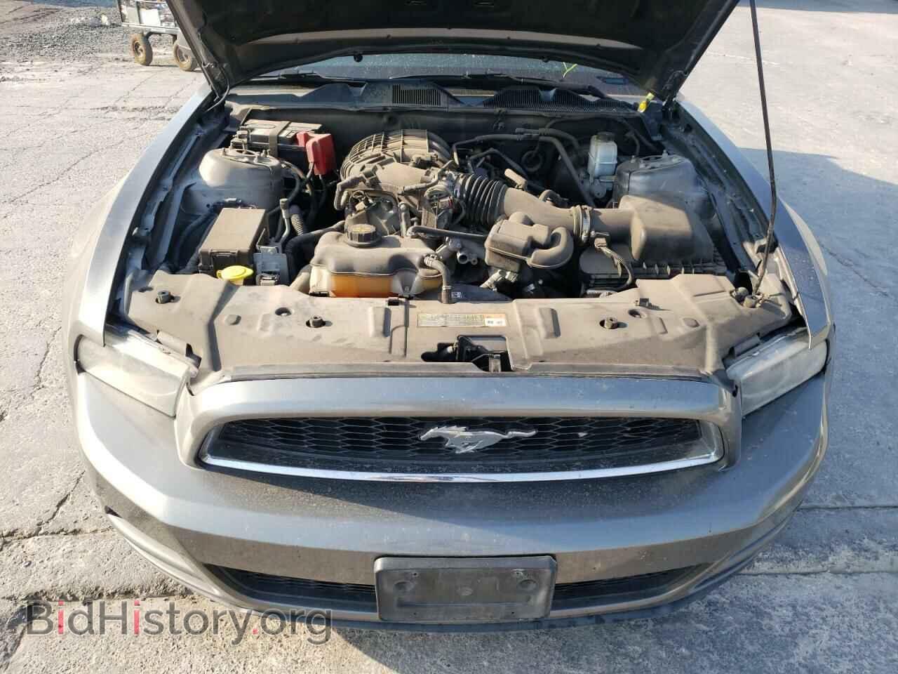 2013 FORD MUSTANG - VIN: 1ZVBP8AM4D5243787 - Photo 7