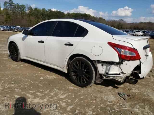 2010 NISSAN MAXIMA - VIN: 1N4AA5AP3AC804874 - Фото 3