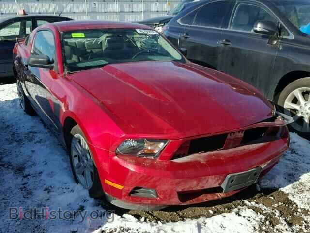 Photo 1ZVBP8AN7A5129948 - FORD MUSTANG 2010
