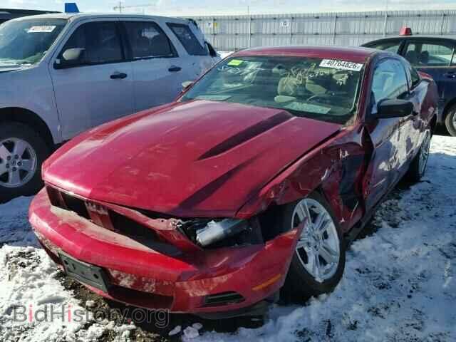 2010 FORD MUSTANG - VIN: 1ZVBP8AN7A5129948 - Фото 2