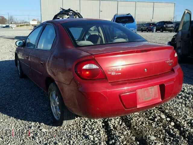 2005 DODGE NEON - VIN: 1B3ES56CX5D135048 - Фото 3