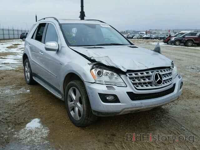 Photo 4JGBB2FB9AA562123 - MERCEDES-BENZ ML350 2010