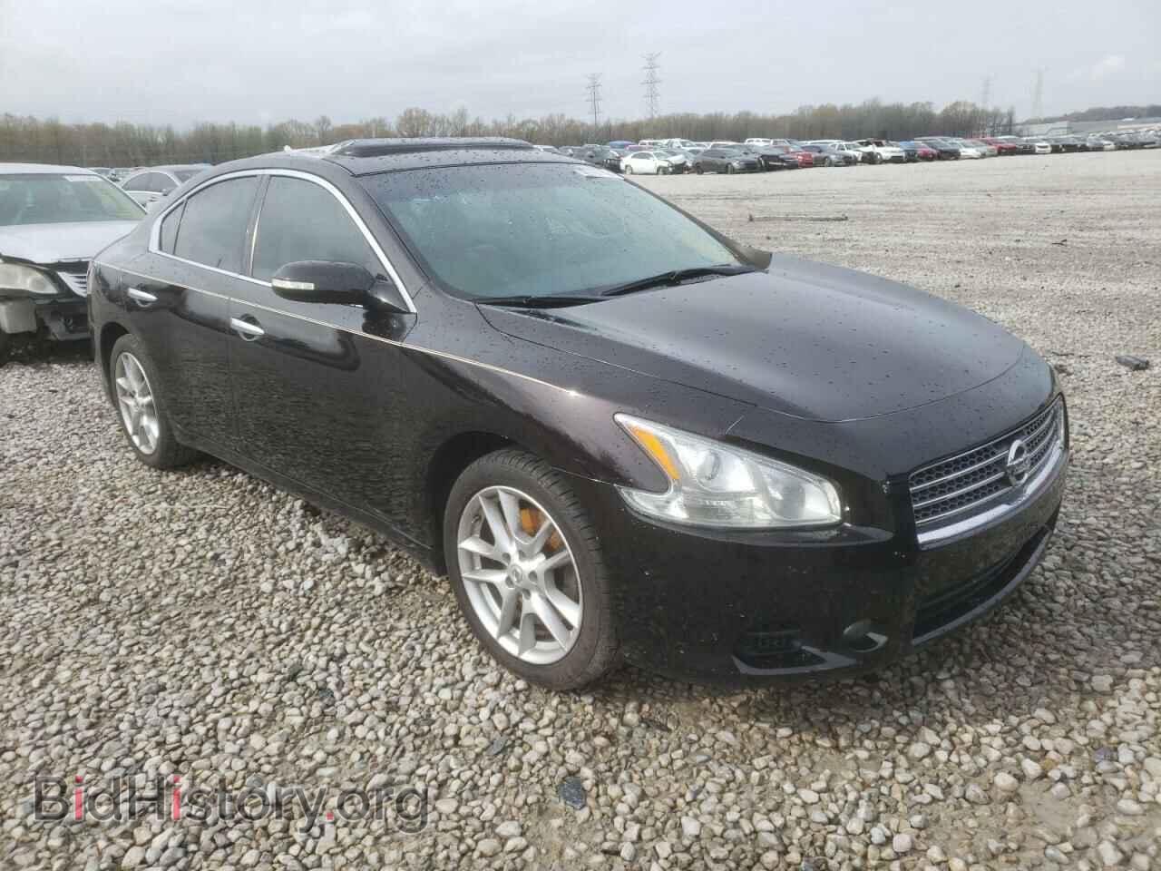 Фотография 1N4AA5AP0BC842032 - NISSAN MAXIMA 2011