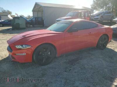 2021 Ford ALL MODELS, красный — VIN 1FA6P8THXM5126368, Copart