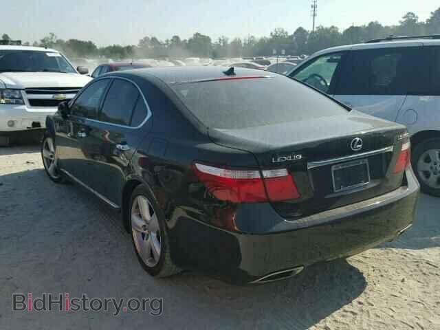 2009 LEXUS LS460 - VIN: JTHBL46F595090117 - Фото 3