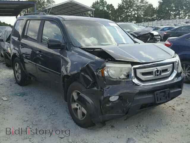 Фотография 5FNYF4H75BB021831 - HONDA PILOT 2011