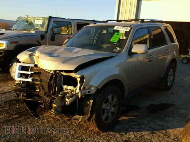 2011 FORD ESCAPE - VIN: 1FMCU9EG9BKB64295 - Фото 2