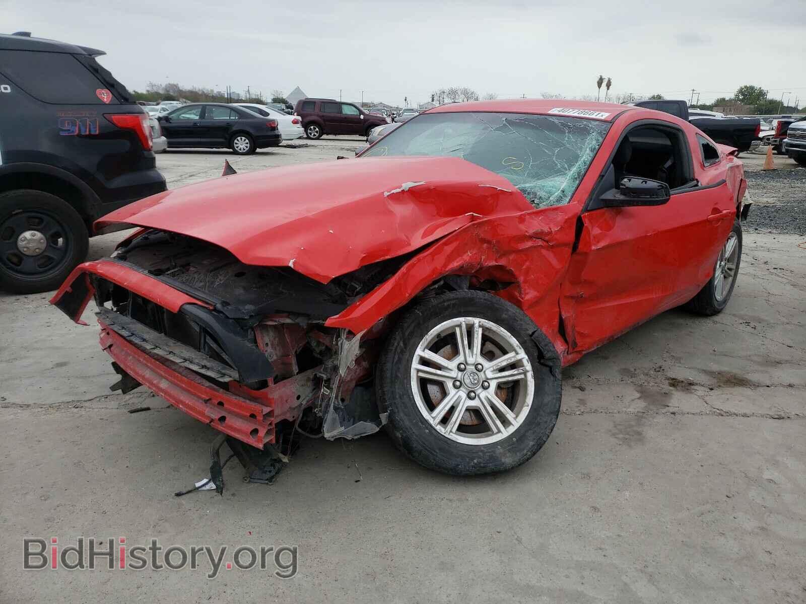 2014 FORD MUSTANG - VIN: 1ZVBP8AM3E5241031 - Фото 2