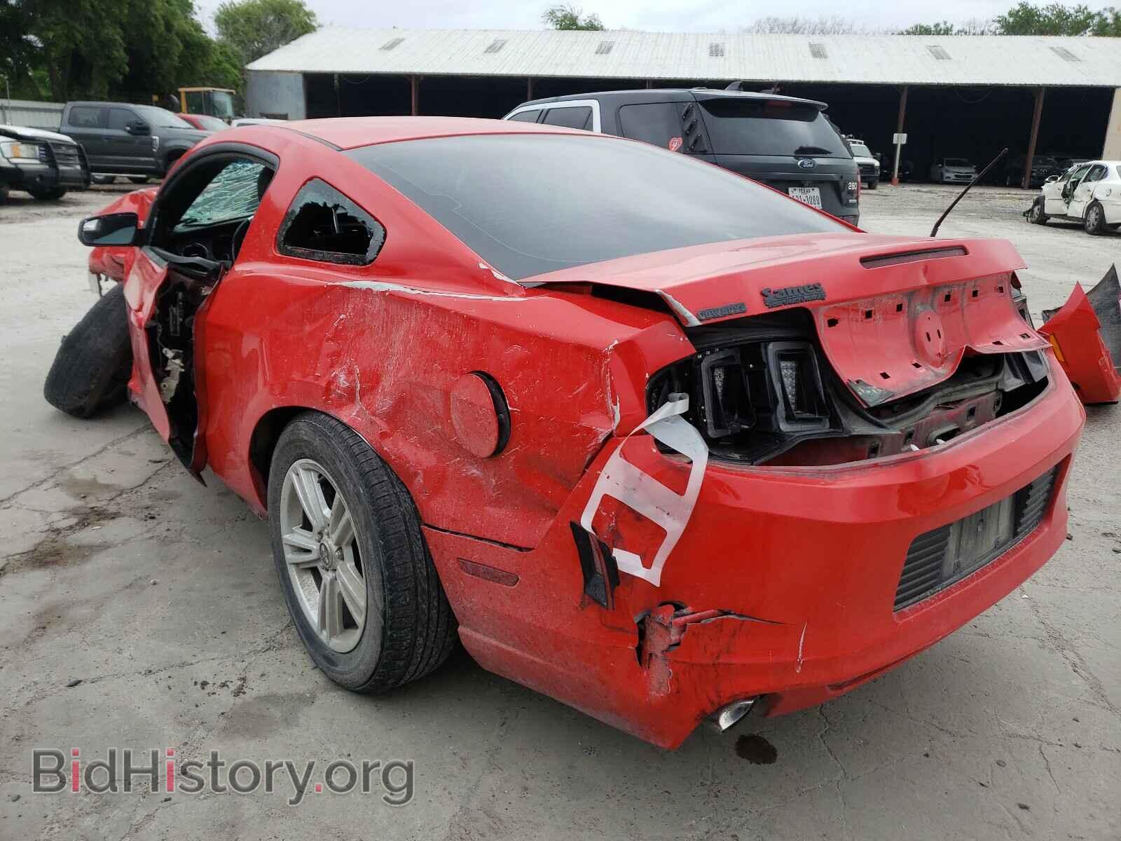 2014 FORD MUSTANG - VIN: 1ZVBP8AM3E5241031 - Фото 3