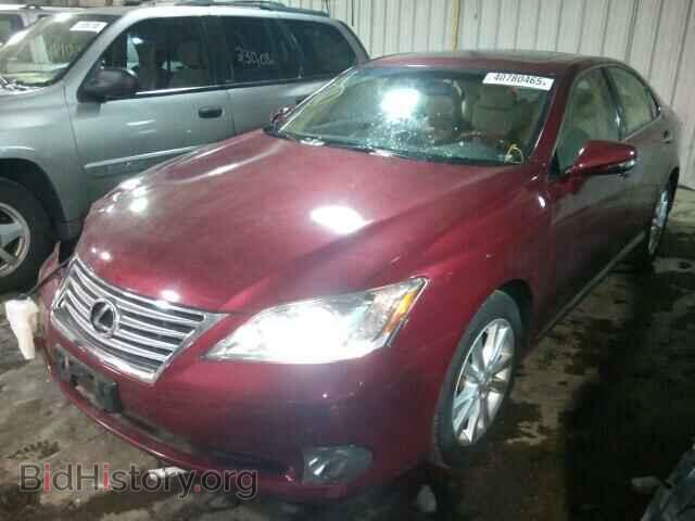 2010 LEXUS ES350 - VIN: JTHBK1EG5A2344426 - Фото 2