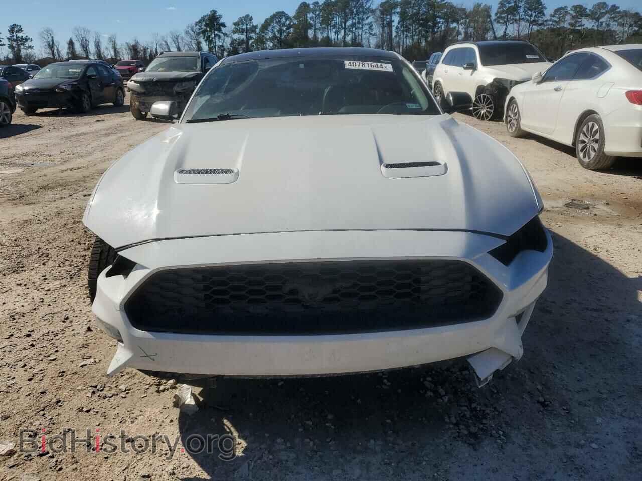 2019 FORD ALL Models - VIN: 1FA6P8TH9K5201719 - Фото 5
