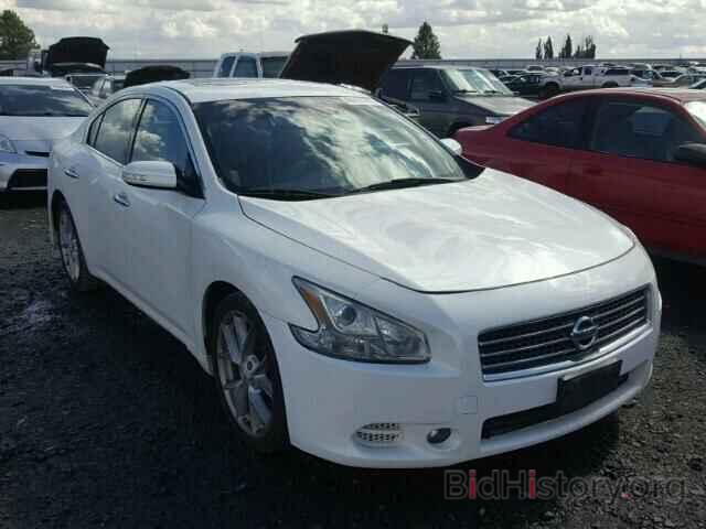 Photo 1N4AA51E49C829602 - NISSAN MAXIMA 2009