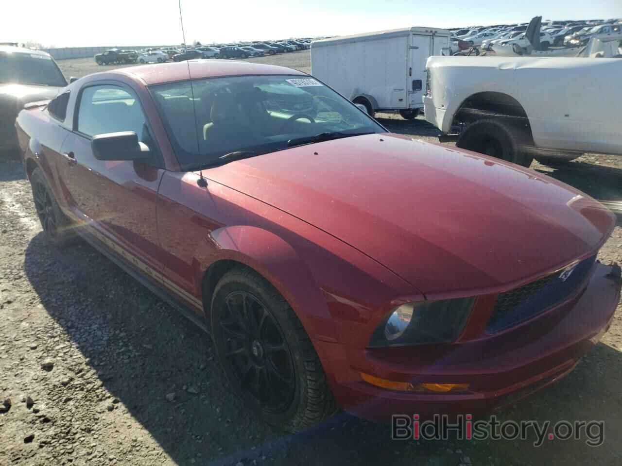 Photo 1ZVHT80N585138861 - FORD MUSTANG 2008