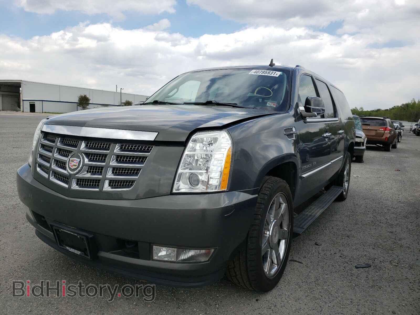 2011 CADILLAC ESCALADE - VIN: 1GYS4JEF9BR187635 - Фото 2