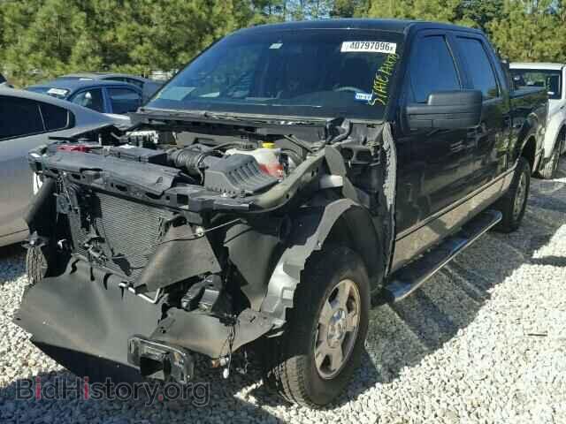 2014 FORD F150 - VIN: 1FTEW1CM8EFB84049 - Фото 2
