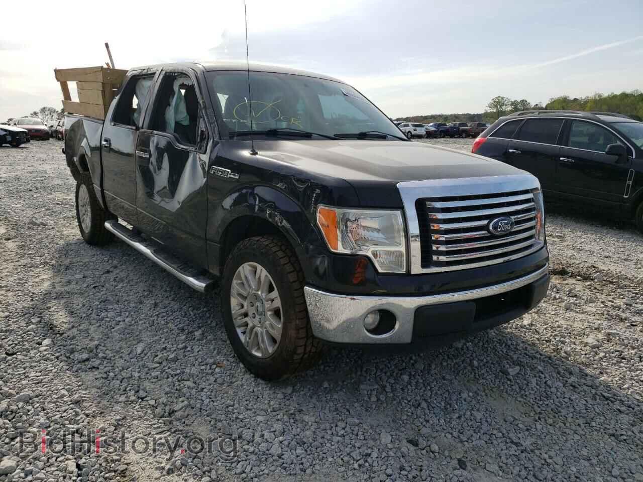 Фотография 1FTEW1CM2CKD02004 - FORD F-150 2012