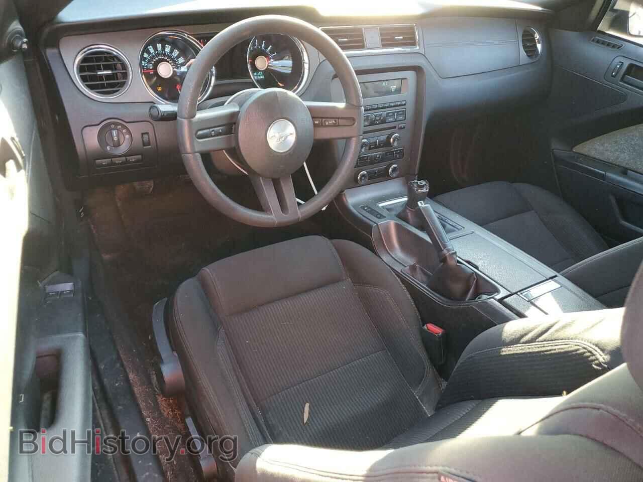 2011 FORD MUSTANG - VIN: 1ZVBP8CF9B5159993 - Фото 8