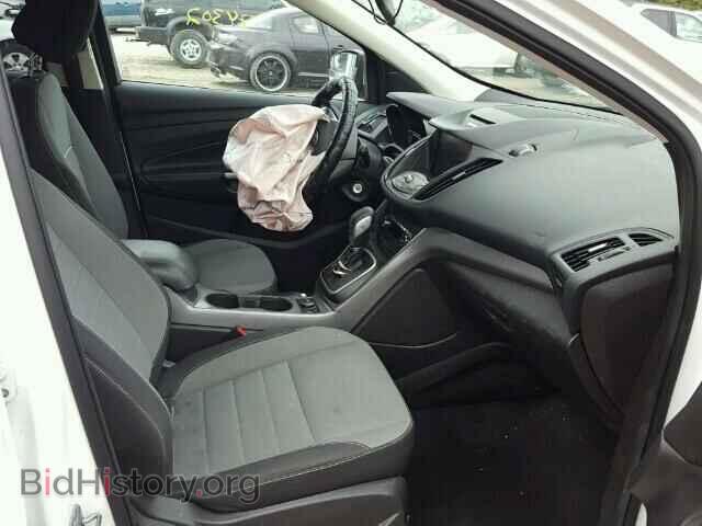 2013 FORD ESCAPE - VIN: 1FMCU0GX2DUB66762 - Photo 5