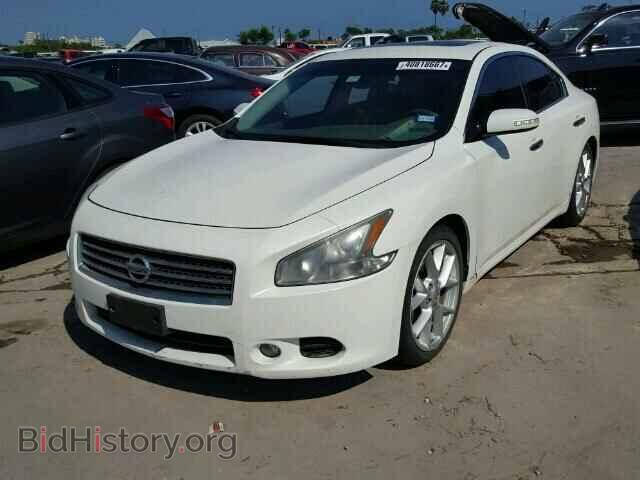 2009 NISSAN MAXIMA - VIN: 1N4AA51E99C807806 - Фото 2