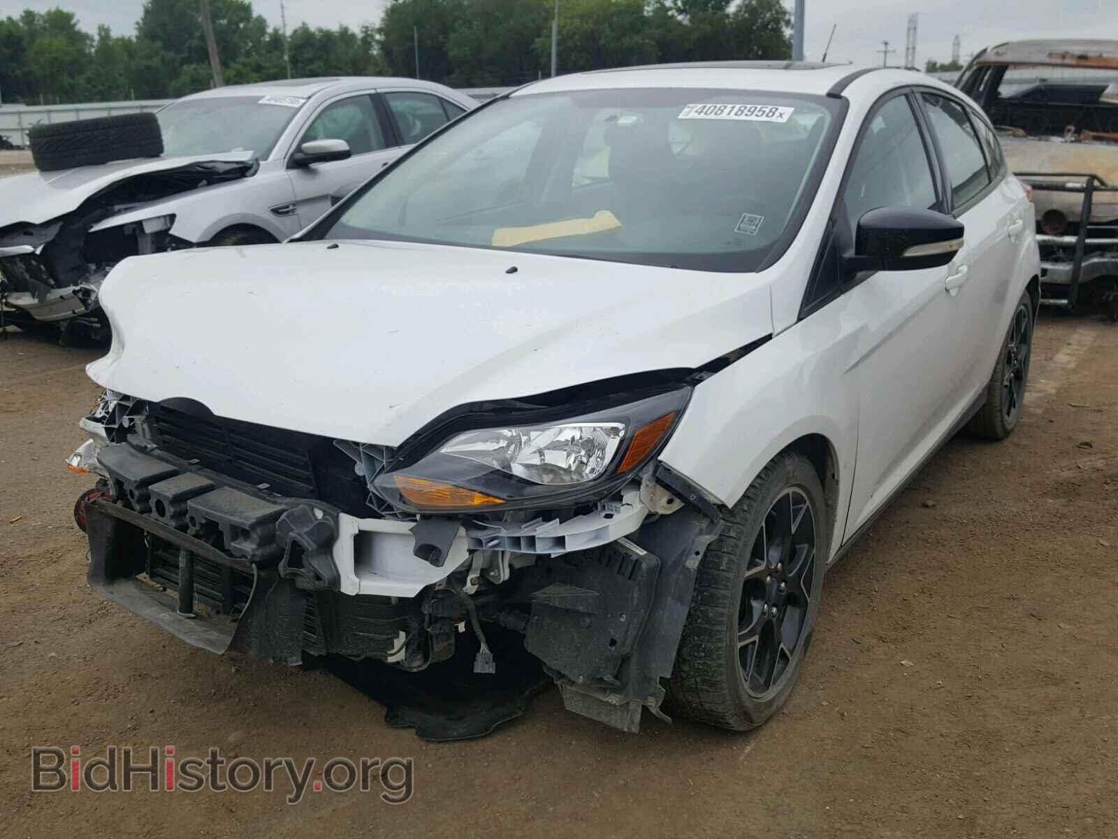 2013 FORD FOCUS - VIN: 1FADP3K21DL156667 - Фото 2