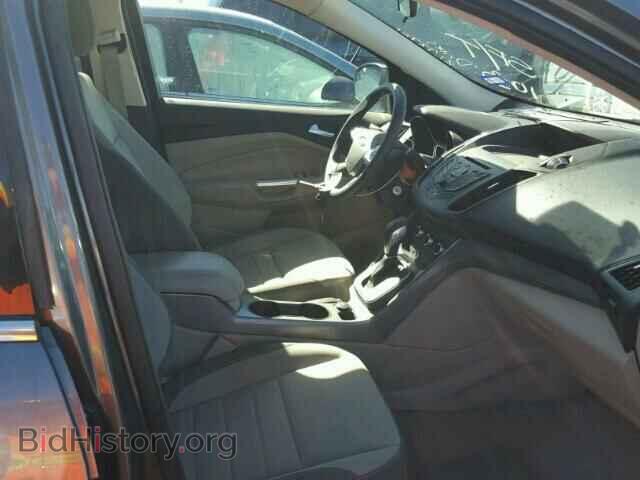 2013 FORD ESCAPE - VIN: 1FMCU0GX2DUB94920 - Фото 5