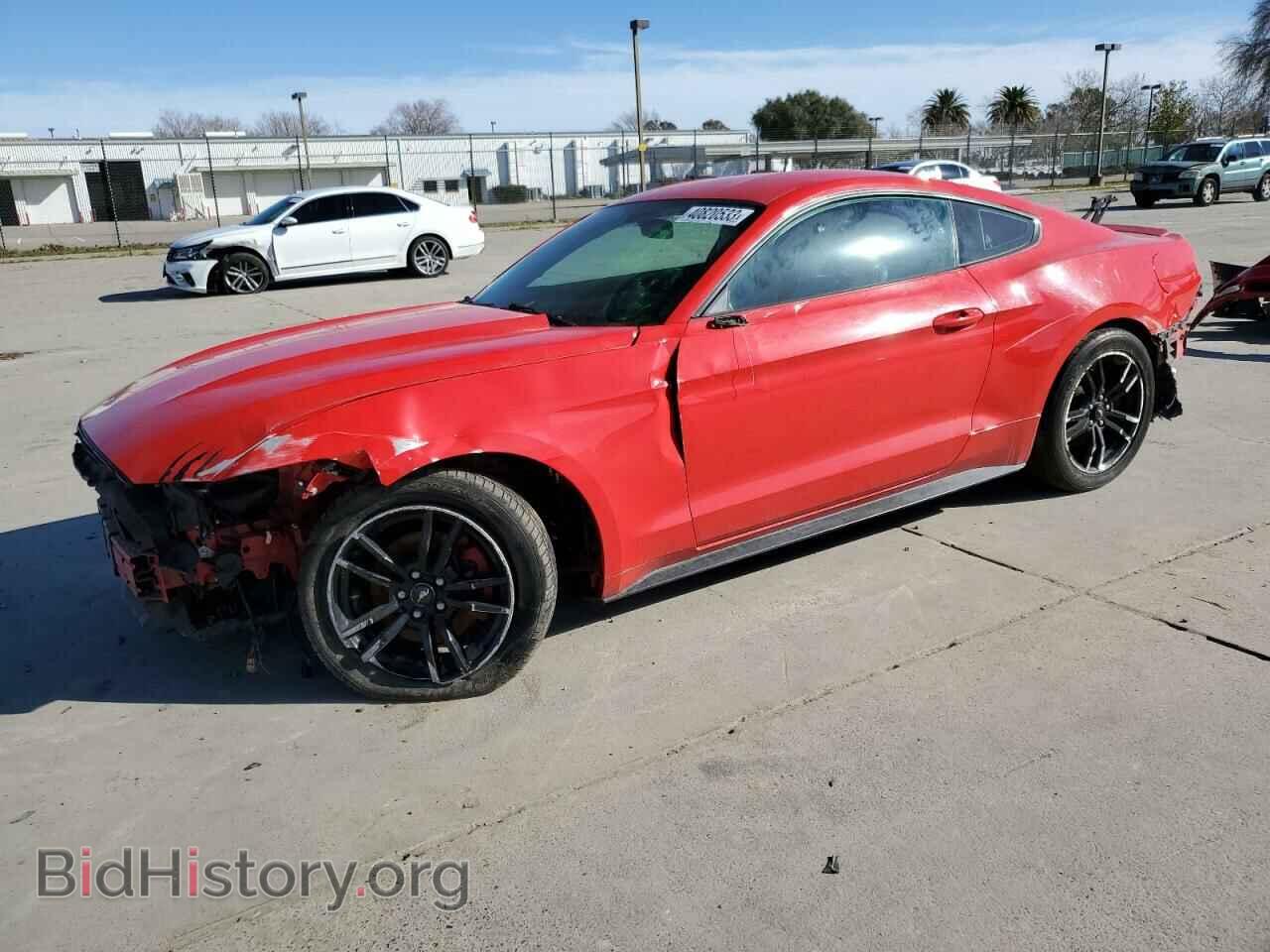 Фотография 1FA6P8TH2F5343545 - FORD MUSTANG 2015