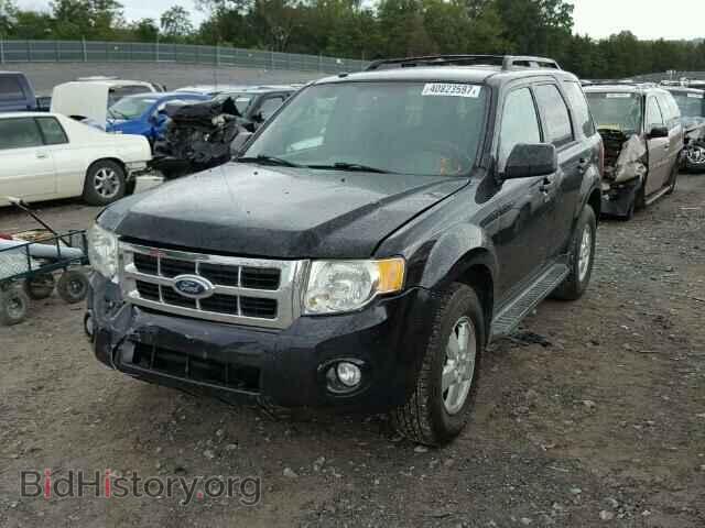 2009 FORD ESCAPE - VIN: 1FMCU03G69KB11448 - Фото 2