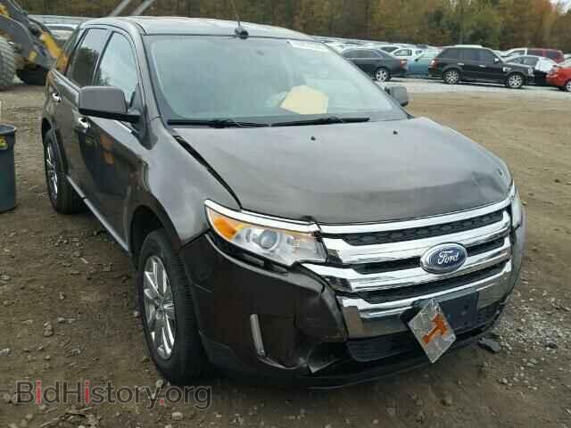 Фотография 2FMDK3JC5BBA71892 - FORD EDGE 2011