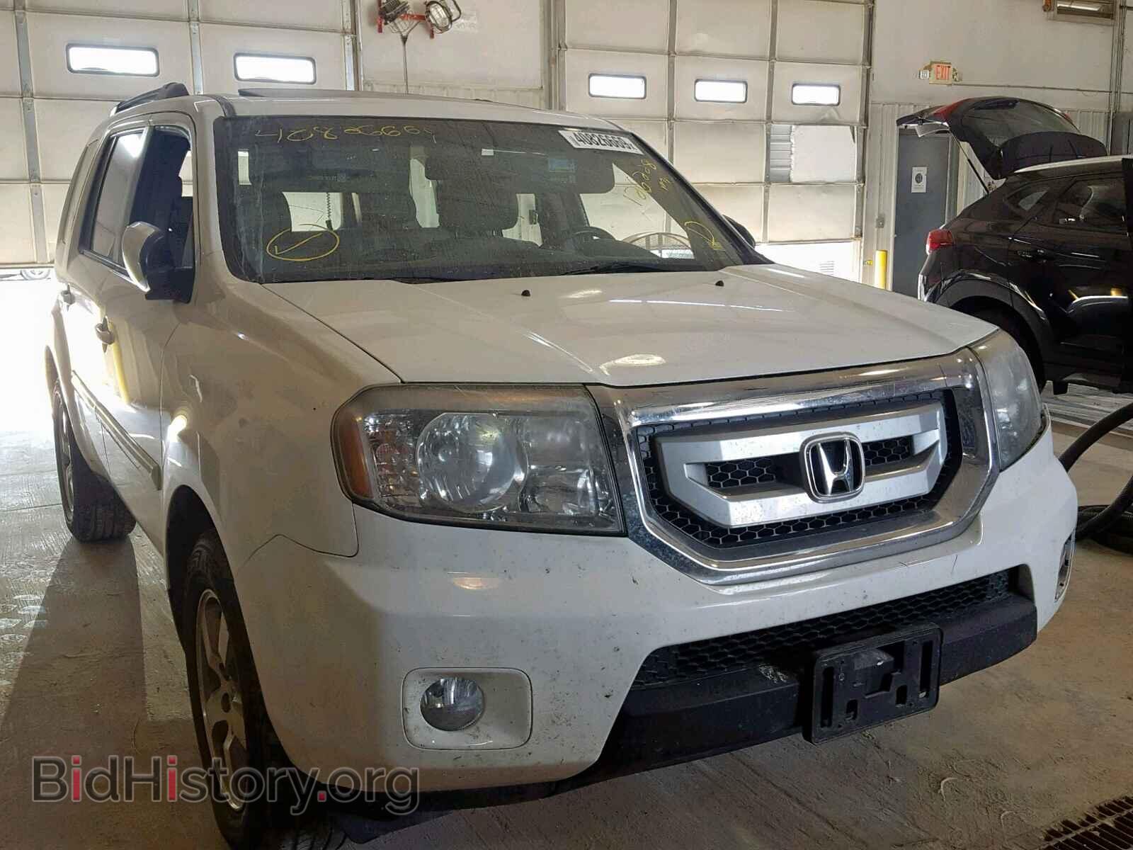 Photo 5FNYF4H61BB101263 - HONDA PILOT EXL 2011