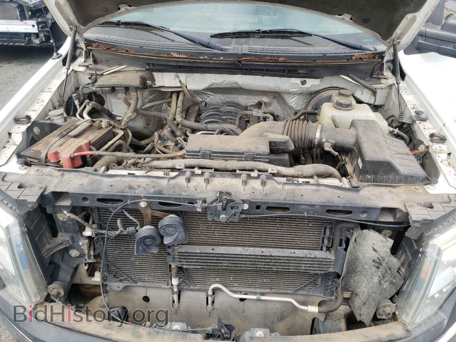 2012 FORD F150 - VIN: 1FTMF1CF8CFB73739 - Фото 7