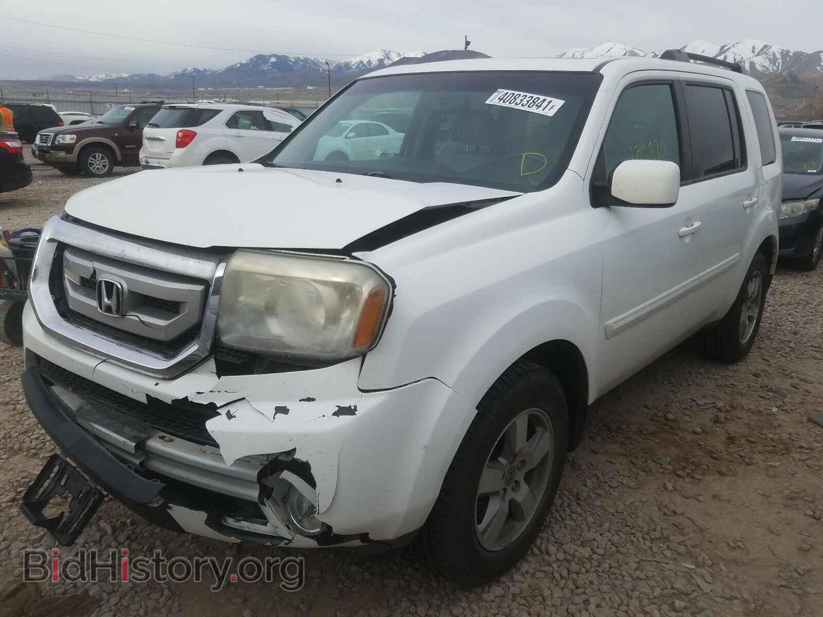 2011 HONDA PILOT - VIN: 5FNYF4H59BB026593 - Фото 2