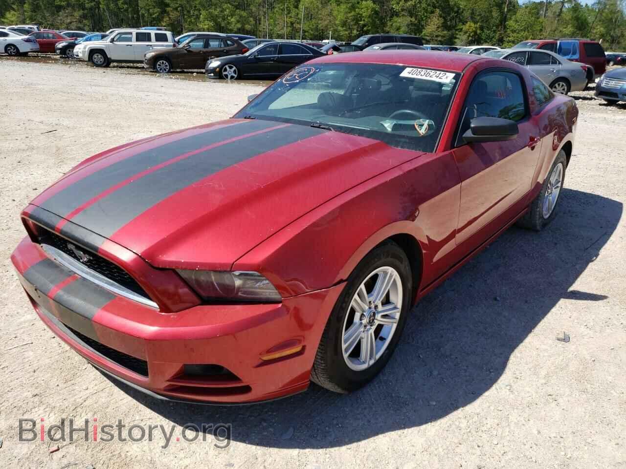 2013 FORD MUSTANG - VIN: 1ZVBP8AM7D5240477 - Фото 2