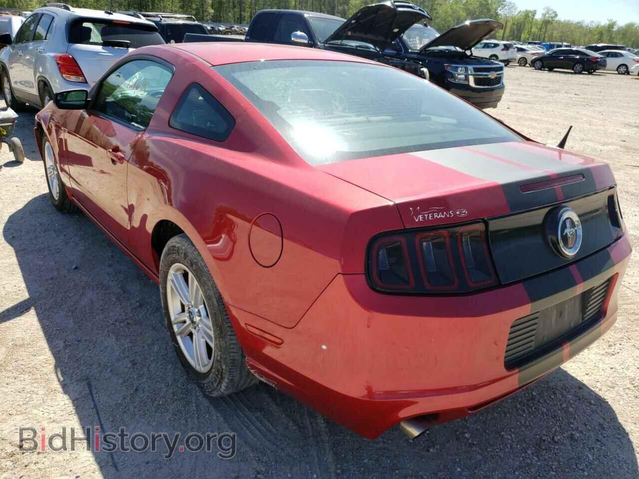 2013 FORD MUSTANG - VIN: 1ZVBP8AM7D5240477 - Фото 3