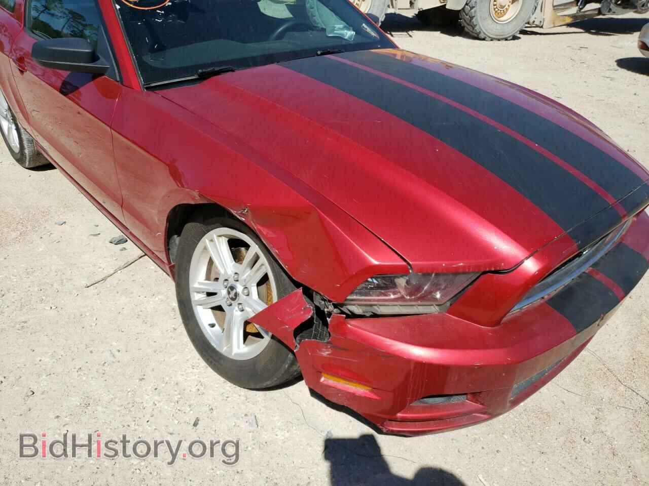 2013 FORD MUSTANG - VIN: 1ZVBP8AM7D5240477 - Фото 9