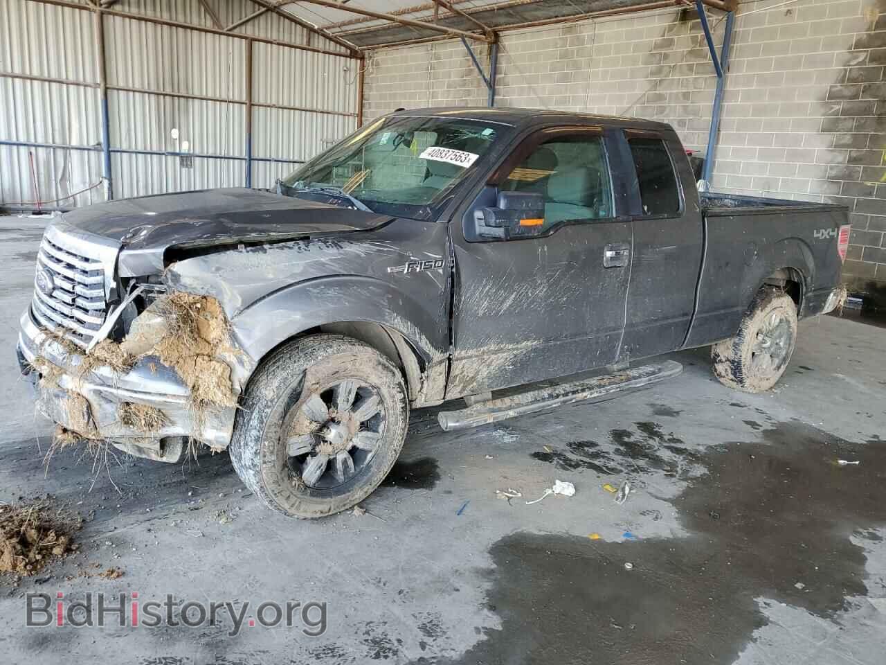 Фотография 1FTFX1EF3BFC54987 - FORD F-150 2011